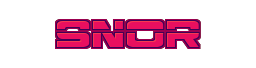 Snor Radio — бесплатная прямая трансляция со всех мировых станций